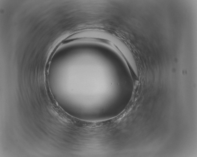 X0000072490148200608041424