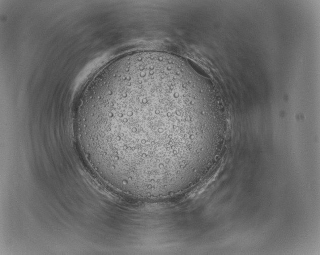 X0000072490149200608041424