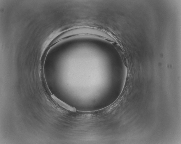 X0000072490152200608041425