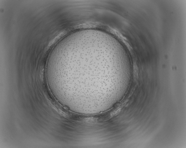 X0000072490153200608041425