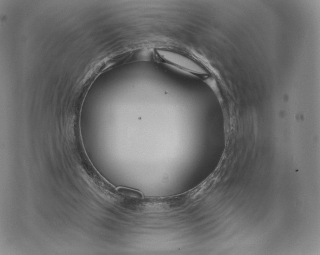 X0000072490154200608041425