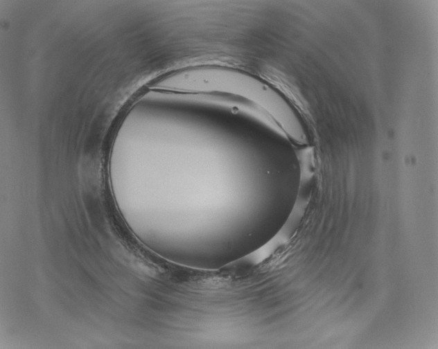 X0000072490156200608041425