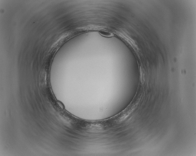 X0000072490157200608041425