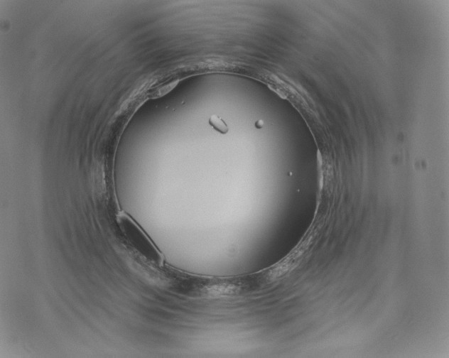 X0000072490158200608041425