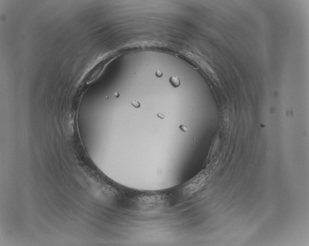 X0000072490160200608041425