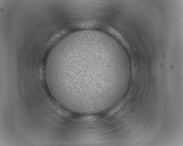 X0000072490161200608041425