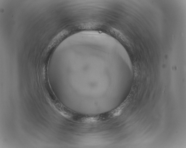 X0000072490163200608041425