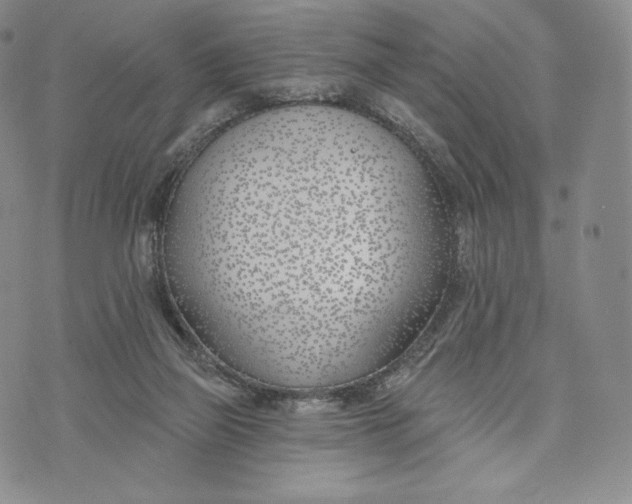 X0000072490165200608041425