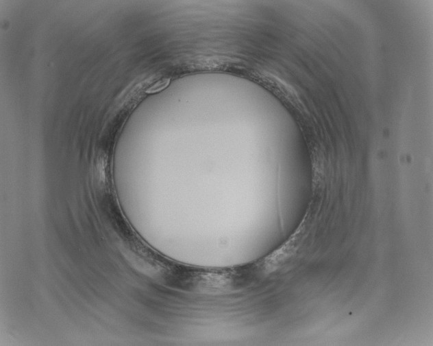 X0000072490166200608041425