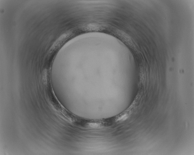 X0000072490167200608041425