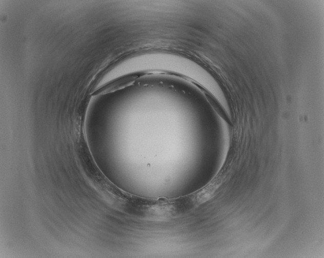 X0000072490168200608041425