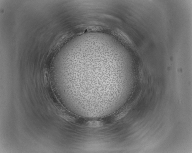 X0000072490169200608041425