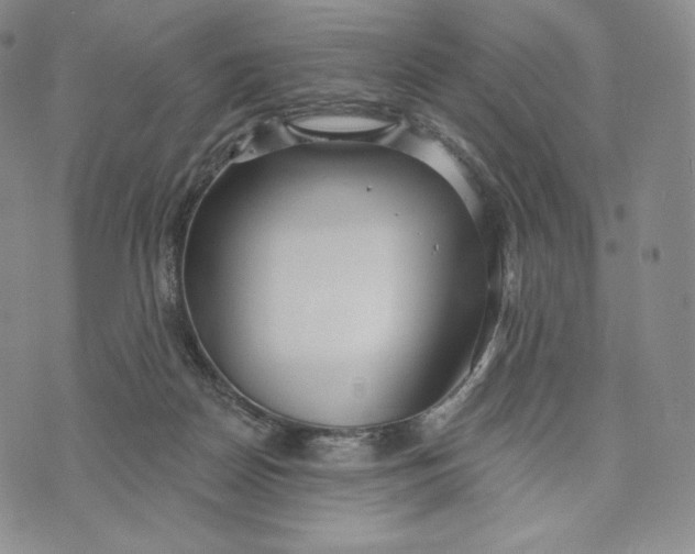 X0000072490170200608041425