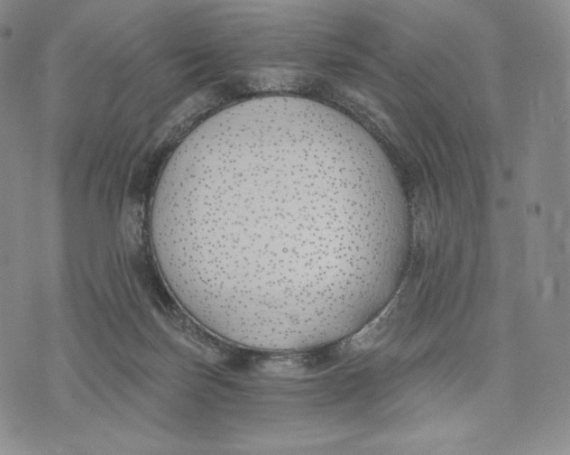 X0000072490171200608041425