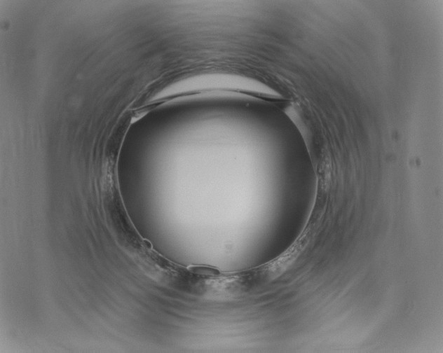 X0000072490172200608041425