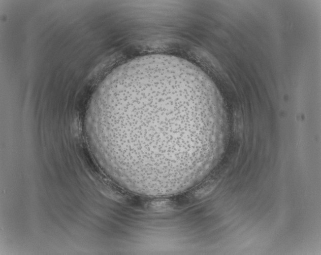 X0000072490173200608041425