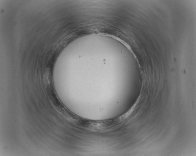 X0000072490174200608041425