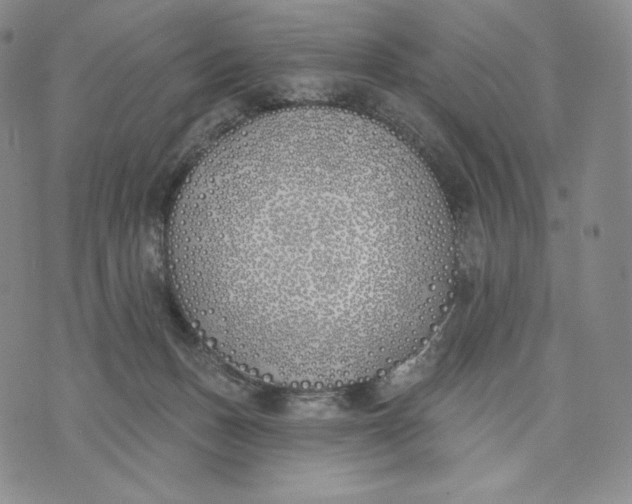 X0000072490175200608041425