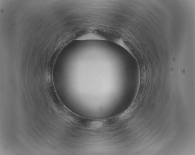 X0000072490176200608041425