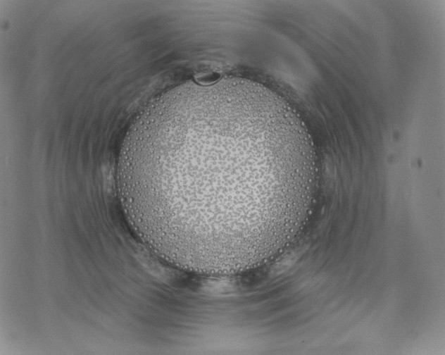 X0000072490177200608041425