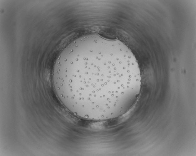 X0000072490178200608041425