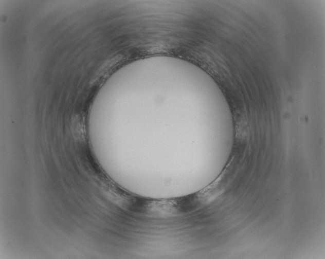 X0000072490179200608041425