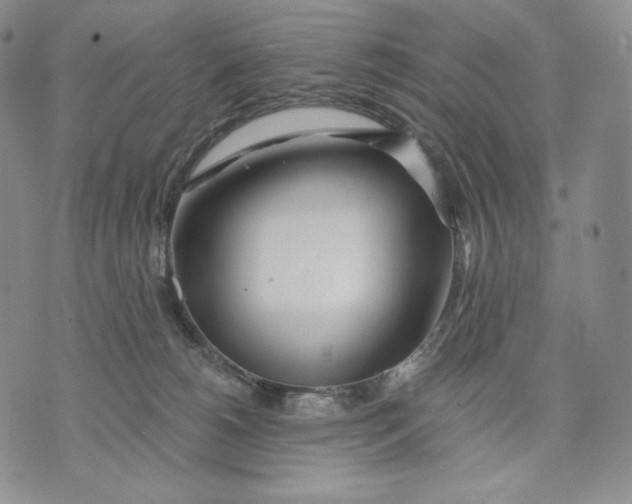 X0000072490180200608041425