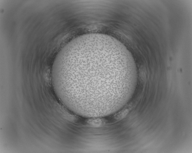 X0000072490181200608041425