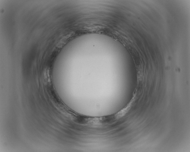 X0000072490182200608041425