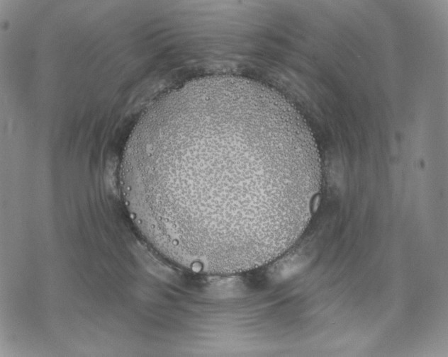 X0000072490185200608041425