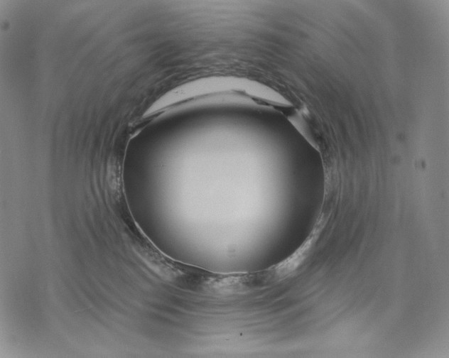 X0000072490186200608041425