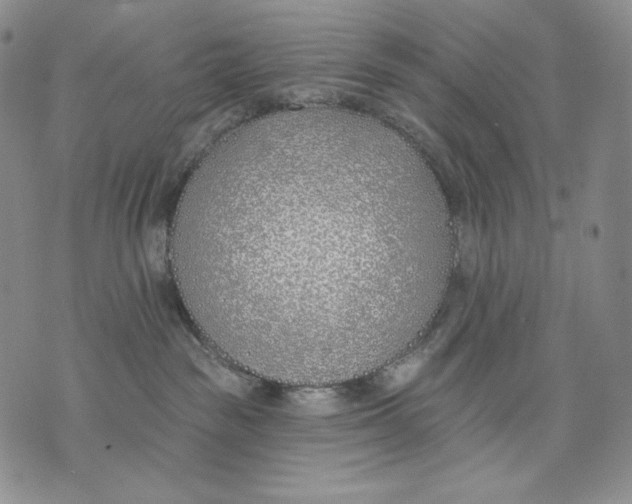 X0000072490189200608041425