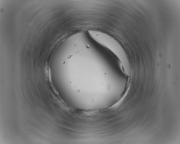 X0000072490190200608041425