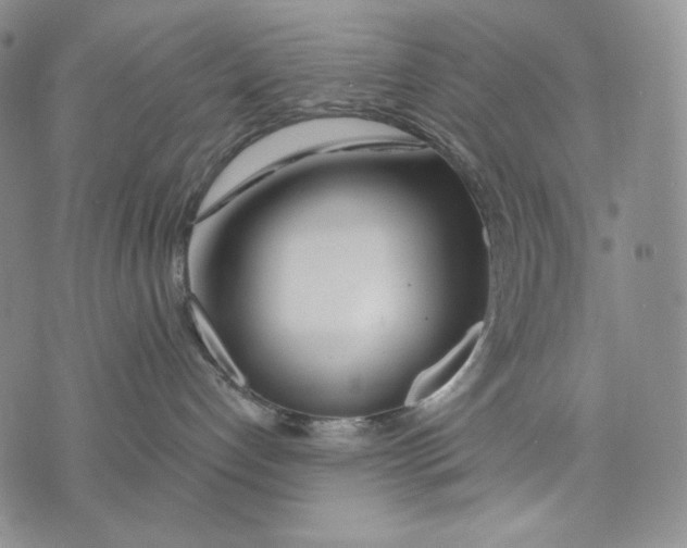 X0000072490192200608041425