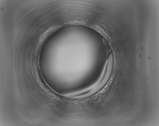 X0000072490193200608041424