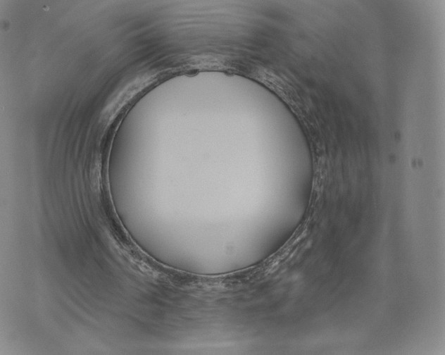 X0000072490194200608041424