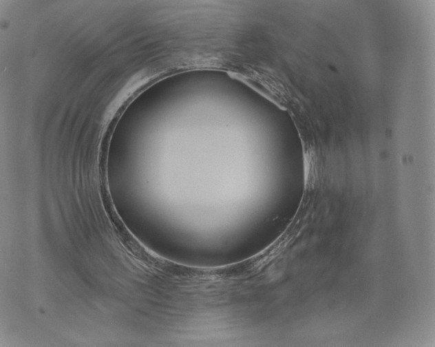 X0000072490195200608041424