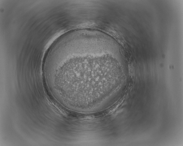 X0000072490196200608041424