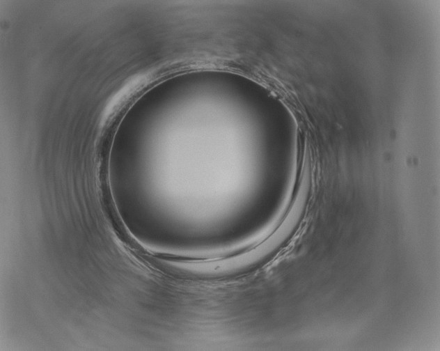 X0000072490197200608041424