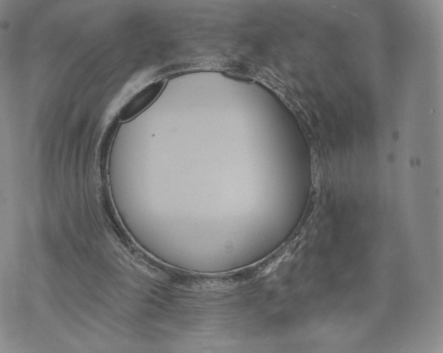 X0000072490198200608041424