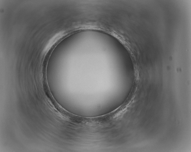 X0000072490199200608041424