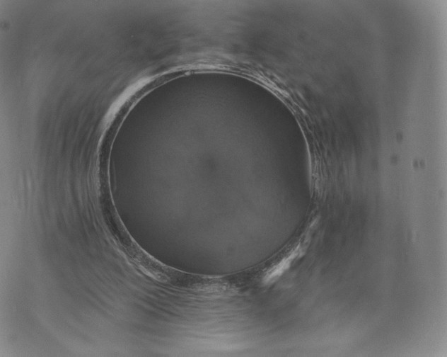 X0000072490200200608041424