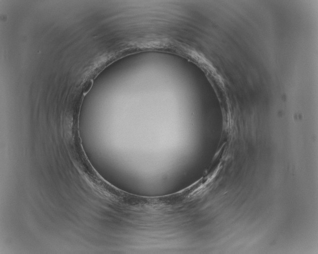 X0000072490201200608041424