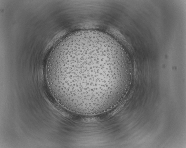 X0000072490202200608041424