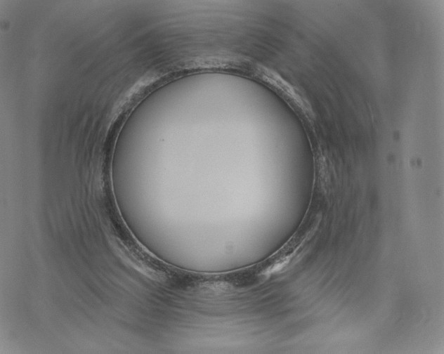 X0000072490203200608041424