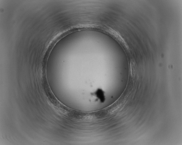 X0000072490204200608041424