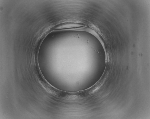 X0000072490205200608041424