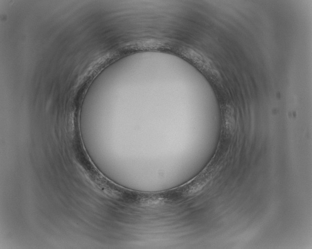 X0000072490206200608041424