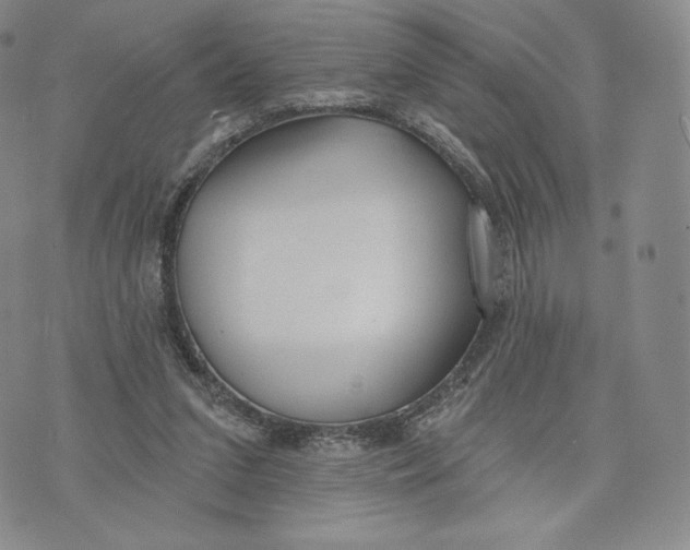 X0000072490207200608041424