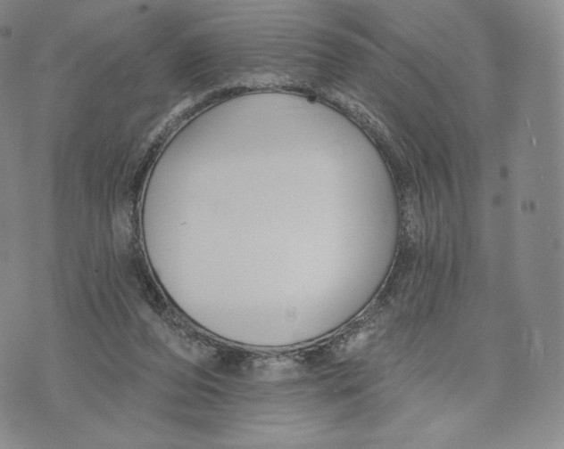 X0000072490208200608041424